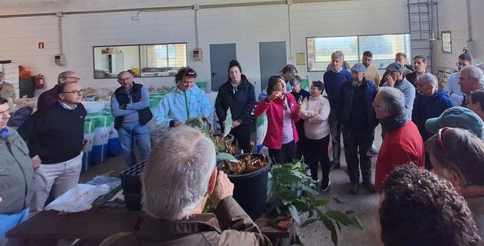 Imagen del curso 'Clonación de Castaños Resistentes a la Tinta', que se celebra en Aracena (Huelva).