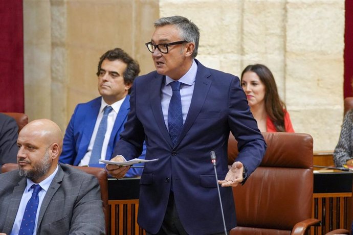 El portavoz de Vox en el Parlamento, Manuel Gavira, este miércoles en el pleno