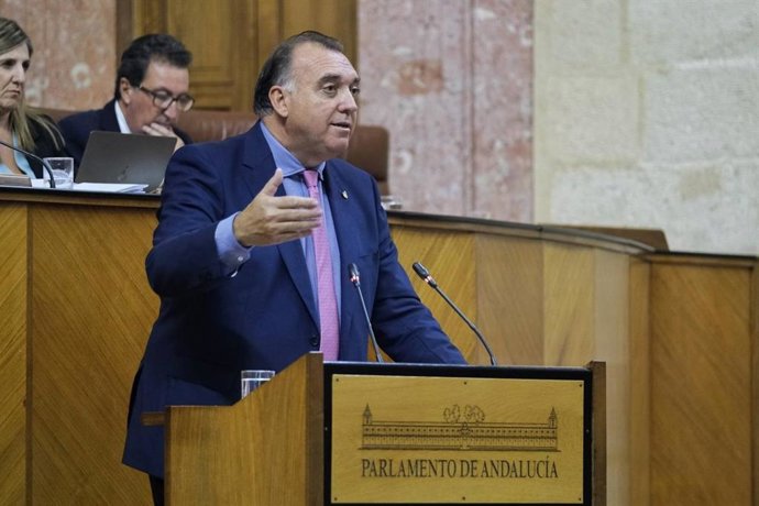 El consejero de Turismo, Arturo Bernal, este miércoles durante su comparecencia en el Pleno del Parlamento.