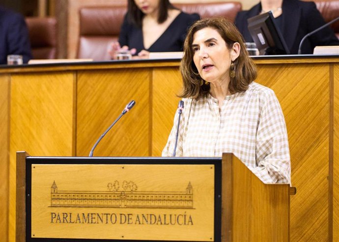 La consejera de Empleo, Rocío Blanco, este miércoles en el Pleno del Parlamento en la defensa del Decreto-ley.