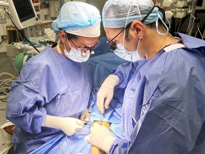 La Dra. Noemí Lambán y el Dr. Eduardo Blanco, durante una cirugía de mano.