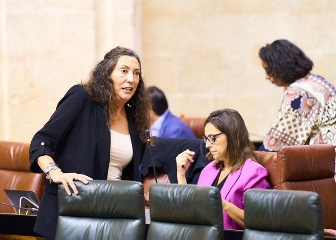 La consejera de Inclusión Social, Juventud, Familias e Igualdad de la Junta de Andalucía, Loles López, durante su intervención en el Parlamento de Andalucía.