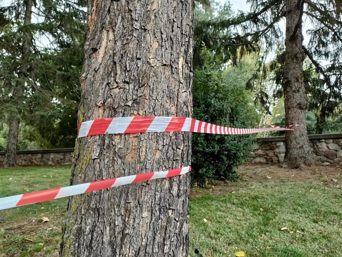 Zona verde acordonada en Salamanca por las rachas de viento