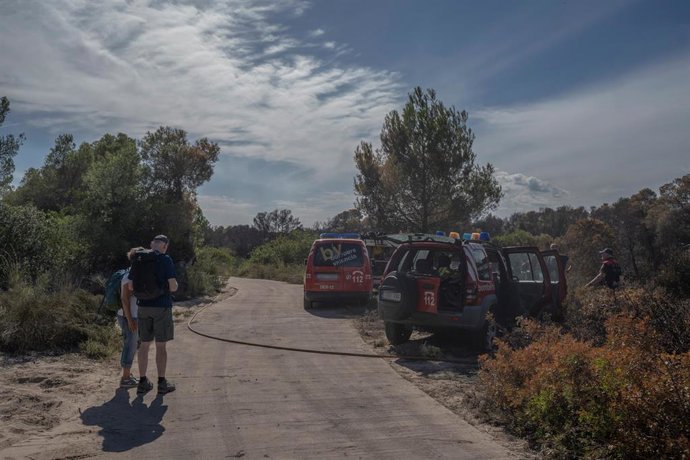 Furgones de bomberos frente a la vegetación afectada por el incendio forestal declarado en el Saler