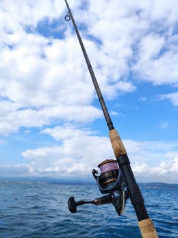 Imatge d'una canya de pesca recrativa