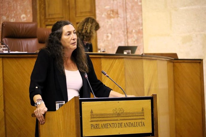 La consejera de Inclusión Social, Juventud, Familias e Igualdad, Loles López, este jueves en el Parlamento.