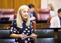 Junta, "a punto de resolver" la falta de transporte para alumnos de educación especial de un centro de Alcalá  (Sevilla)