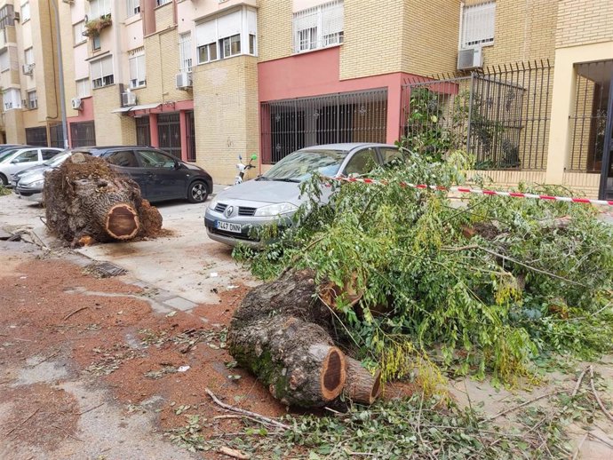 Imagen de restos vegetales en la calle Mar Egeo