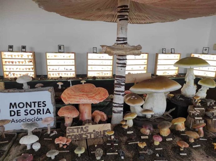 Exposición en Tajueco