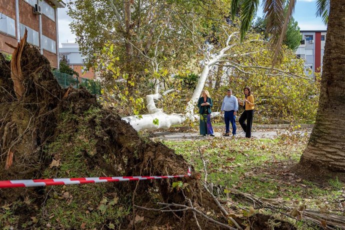 La alcaldesa de Huelva, Pilar Miranda, revisa los desperfectos en la ciudad acompañada del delegado de la Junta en Huelva, José Manuel Correa, y la concejal de Infraestructuras y Servicios Públicos, Mariló Ponce.
