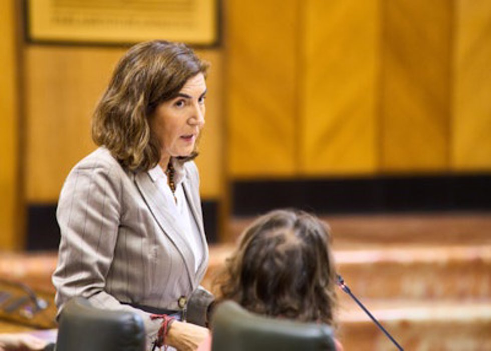 La consejera de Empleo, Empresa y Trabajo Autónomo, Rocío Blanco, en el Pleno del Parlamento