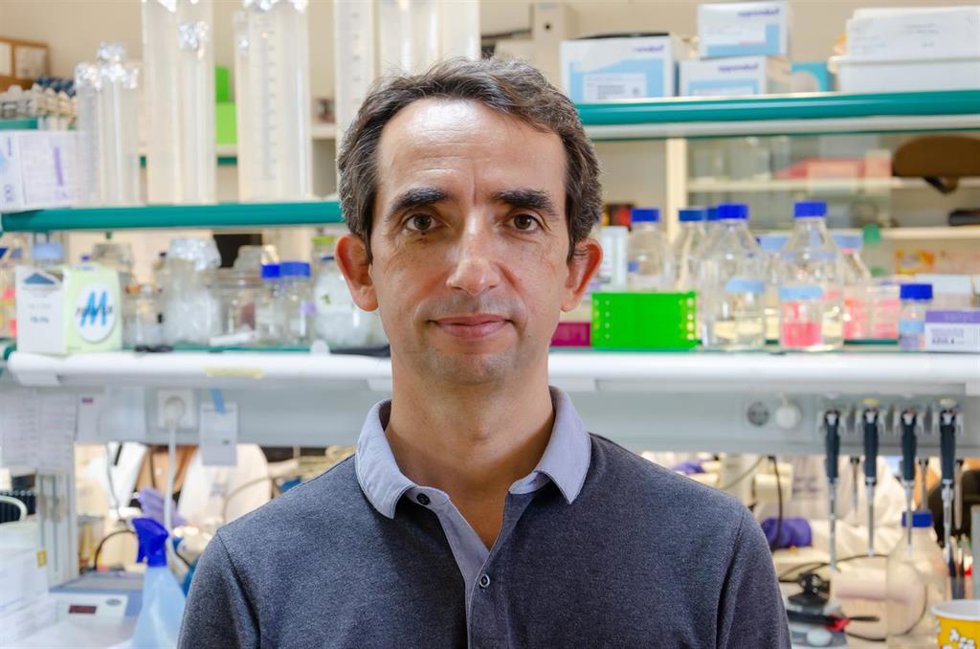Archivo - El investigador del IN UMH-CSIC Víctor Borell