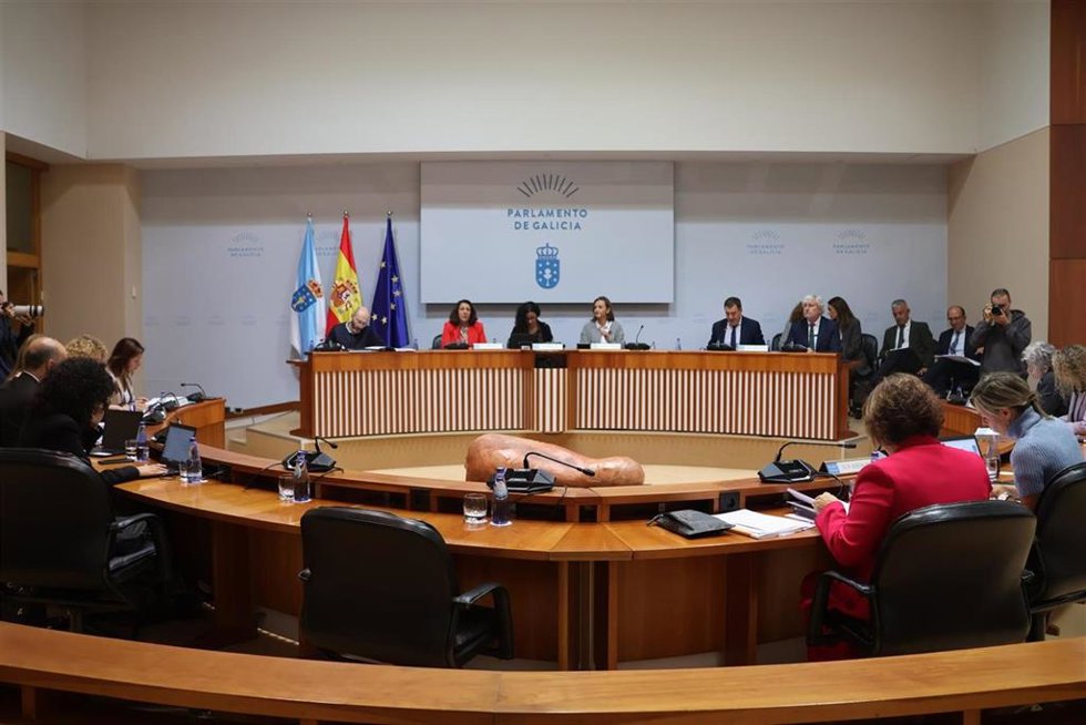 El conselleiro de Cultura, Educación, FP e Universidade, Román Rodríguez, en la comparencencia de los presupuestos