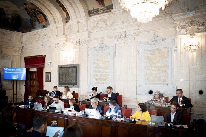 Pleno del Ayuntamiento de Málaga