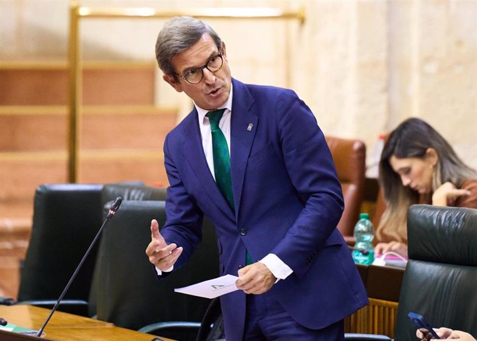 El consejero de Industria, Energía y Minas, Jorge Paradela, en el Parlamento andaluz.