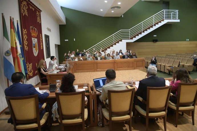 Pleno del Ayuntamiento de Torremolinos