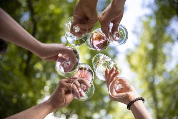 Avance Import se posiciona como un actor destacado en el sector