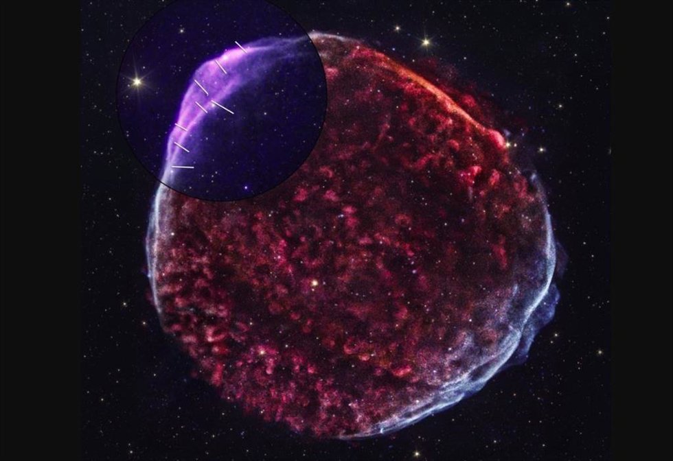 Esta nueva imagen del SN 1006 remanente de supernova combina datos del explorador de polimetría de rayos X de imágenes de la NASA y el Observatorio de Rayos X de Chandra de la NASA.