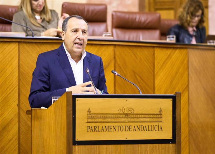 El diputado del PSOE-A José Luis Ruiz Espejo, en el Pleno del Parlamento andaluz.