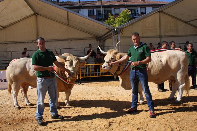 Archivo - Ganadores del Primer Lunes de Gernika (archivo)