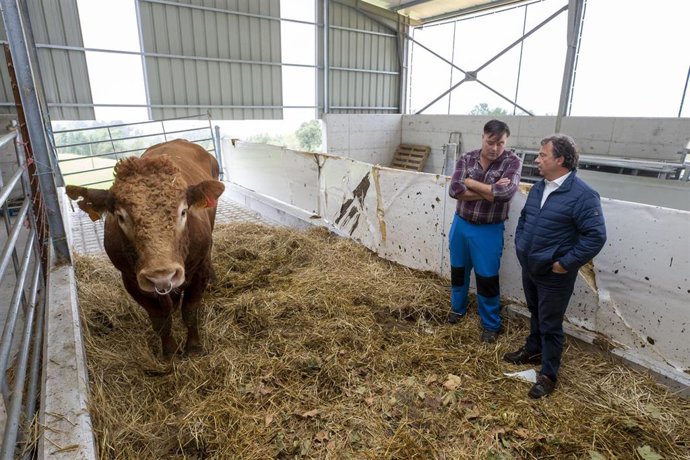 El consejero de Desarrollo Rural, Pablo Palencia, en la explotación ganadera 'Los Llanos', afectada por la enfermedad hemorrágica epizoótica.