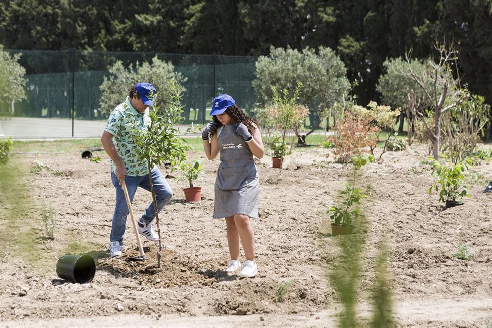 Archivo - Fundación Ibercaja recibe, por primera vez, por parte del Ministerio para la Transición Ecológica y el Reto Demográfico el sello calculo/reduzco que mide el impacto de su huella de carbono en todos sus centros y en toda su actividad