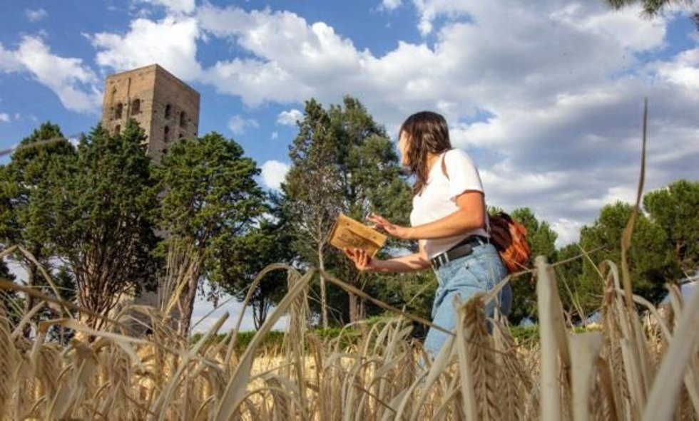 Caja Rural, Google, Auren y Enisa lanzan 'BeRurals' para impulsar el emprendimiento en el mundo rural.