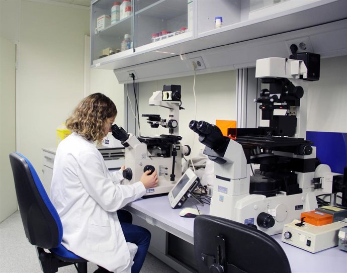 Archivo - Investigadora de la UPV