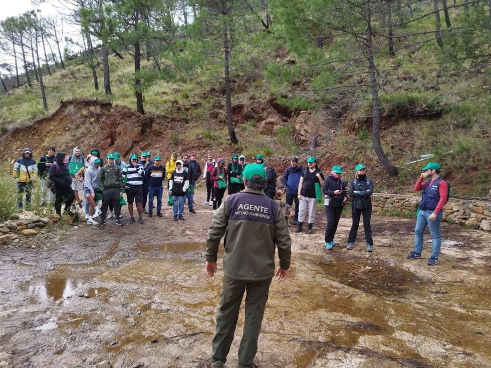 A lo largo de 25 jornadas se van a plantar 20.000 plantones de especies propias de las zonas afectadas por el incendio del 2021. Para ello se han seleccionado las especies más adecuadas y adaptadas a crecer sobre el tipo de suelo.