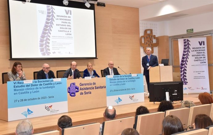 Soria acoge la VI Reunión de la Sociedad para el estudio del dolor de Castilla y León .