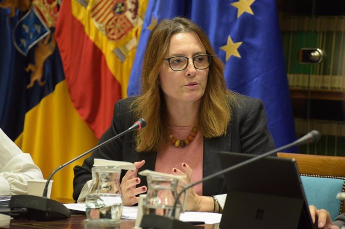 La consejera de Bienestar Social del Gobierno de Canarias, Candelaria Delgado, en comisión parlamentaria