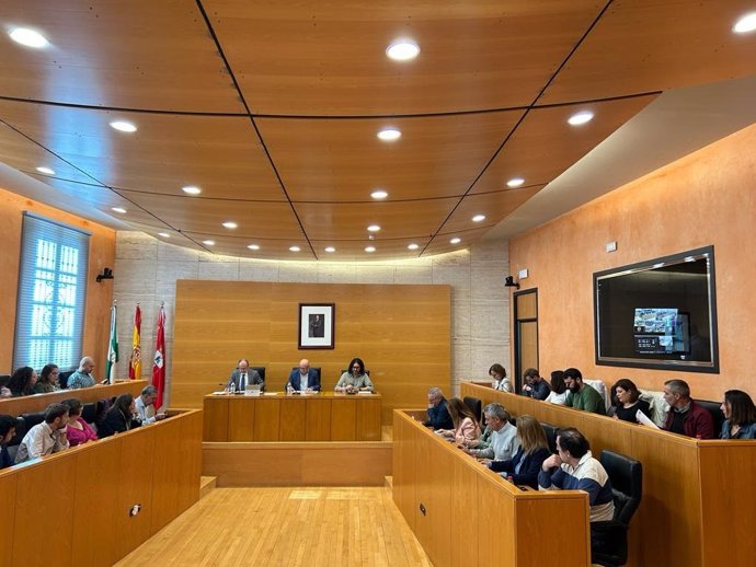 Pleno del Ayuntamiento de Dos Hermanas, en Sevilla.