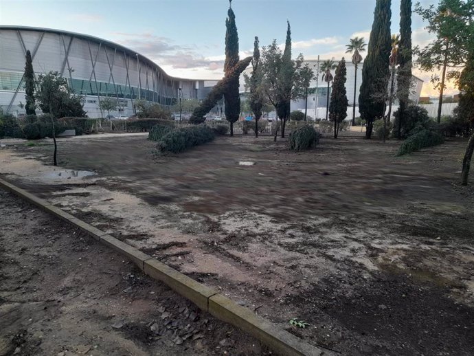 Imagen de árboles caídos en el parque de Zafra de Huelva capital el pasado domingo tras el paso de la borrasca 'Bernard'.