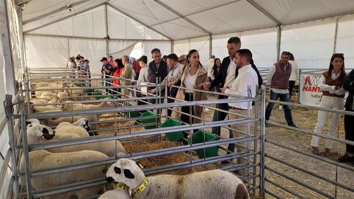 La Consejera Sara Rubira Visita La Feria Segureña Y De Ganadería Extensiva De Archivel.