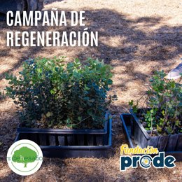 Imagen promocional de la nueva campaña de 'El Dehesafío'.