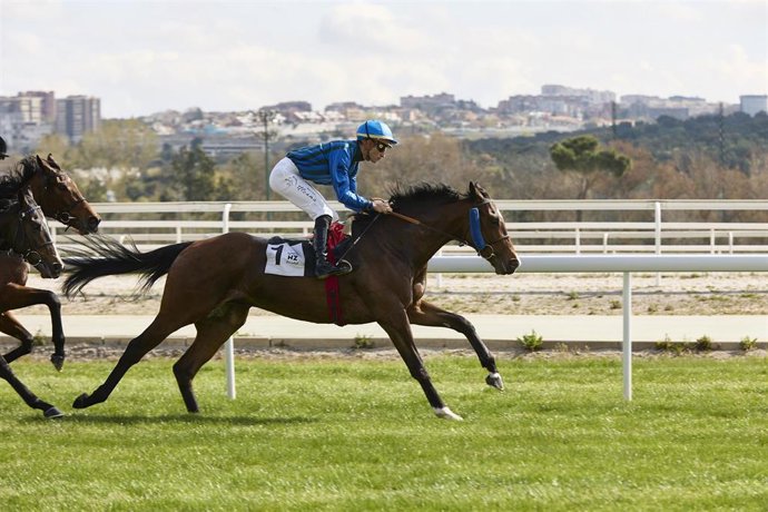Archivo - Un  jinete con su caballo participa en una carrera.