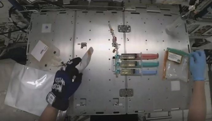 Imagen del diespositivo de manipulación de embriones de ratón en la Estación Espacial Internacional