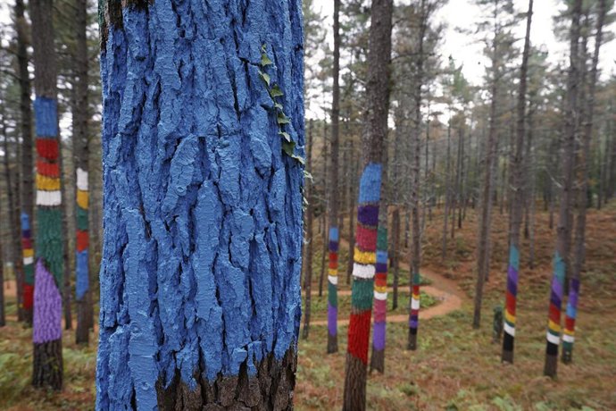 El Bosque de Oma en Kortezubi, en Bizkaia.