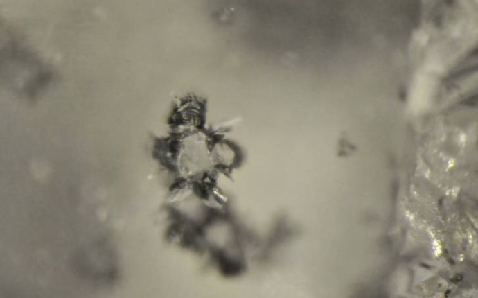 Inclusión de silicato de calcio dentro de un diamante de Kankan, Guinea