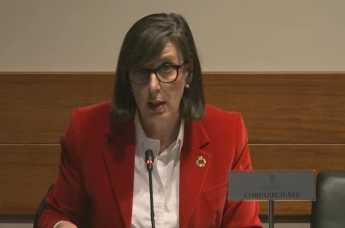 La consejera Nievez Roqueñí