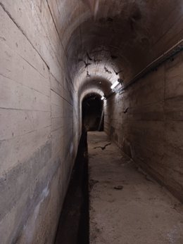 Colonia de murciélagos en el interior de una galería de la central hidroeléctrica del Pintado (Sevilla)