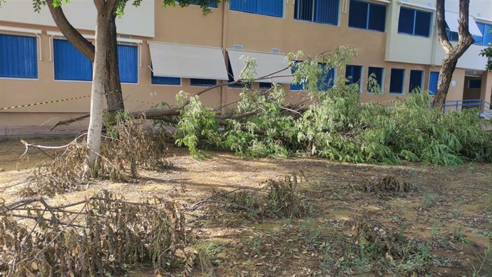 Imagen del patio del CEIP Tartessos