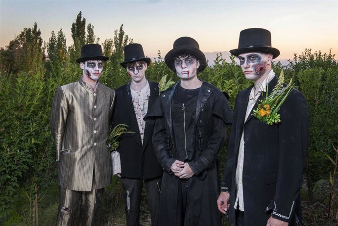 Imagen de El Laberinto vegetal de Sendaviva