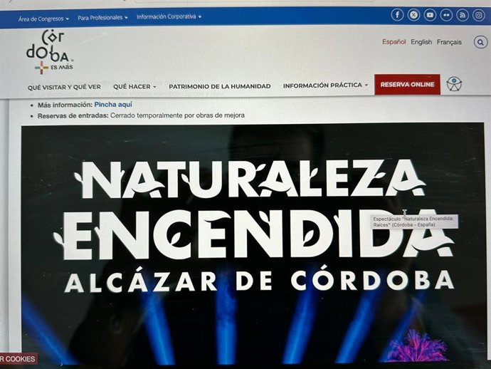 Página web que recoge el espectáculo nocturno del Alcázar de los Reyes Cristianos.