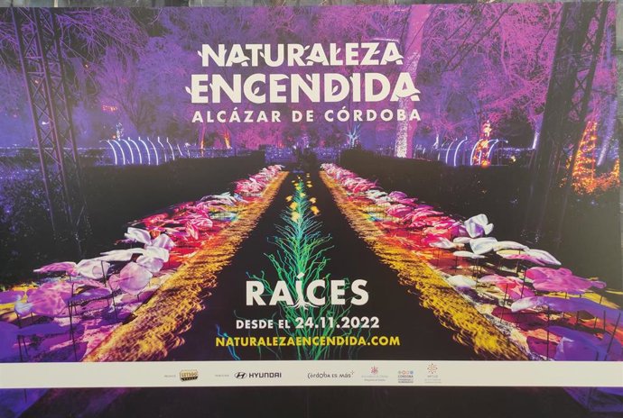 Archivo - Cartel del espectáculo de luz, imagen y sonido del Alcázar de los Reyes Cristianos de Córdoba, cuando se inauguró.