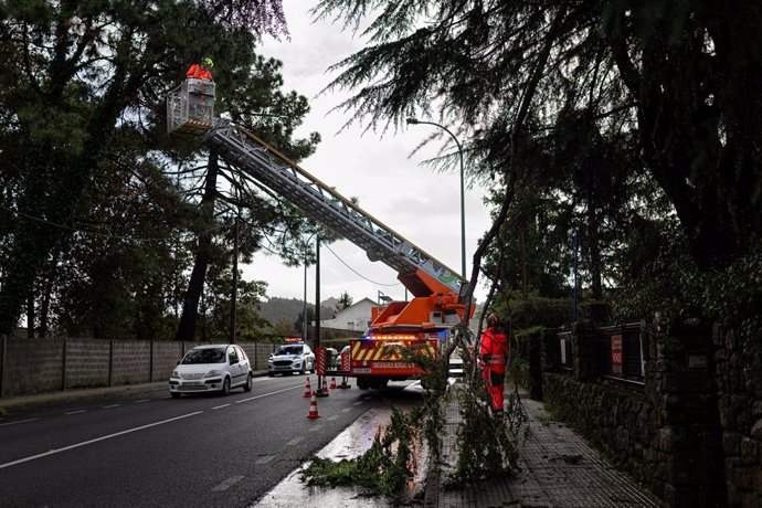 Corte y recogida de árbol caído por parte de los bomberos en la Av. de Cornazo de Vilagarcia de Arousa, a 26 de octubre de 2023, en Pontevedra, Galicia (España). La Dirección Xeral de Emerxencias e Interior de la Vicepresidencia Primeira de la Xunta ha 