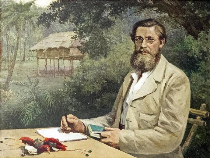 Retrato de Alfred Russel Wallace