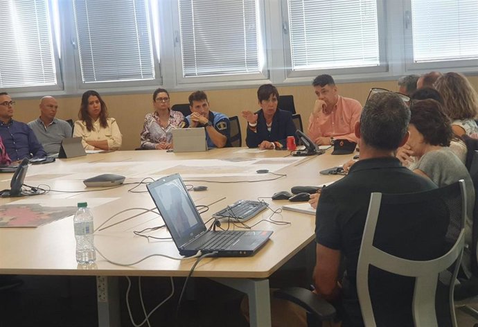 El Cabildo de Tenerife ha mantenido un encuentro con los ayuntamientos afectados por el incendio forestal para coordinar las acciones y evitar los efectos de la lluvia en las zonas más afectadas por el fuego