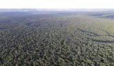Foto: La deforestación amazónica calienta superficies a distancia