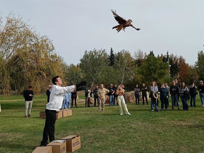 Suelta de crías de milano real en la Reserva Natural de los Galachos de la Alfranca.